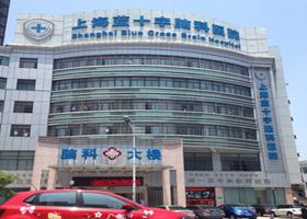 上海蓝十字脑科医院